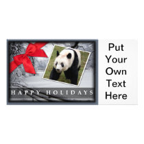 c-2011-panda-0041 photo greeting card