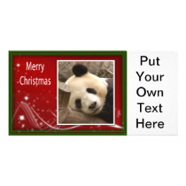 c-2011-panda-0043 photo card template