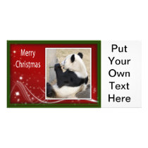 c-2011-panda-0045 photo card template