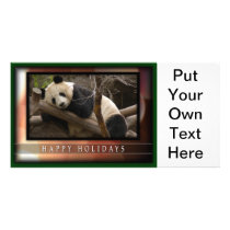 c-2011-panda-0049 photo greeting card