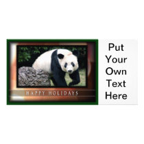 c-2011-panda-0050 photo card template