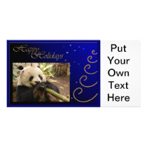 c-2011-panda-0052 photo greeting card