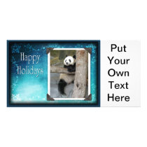 c-2011-panda-0057 photo greeting card