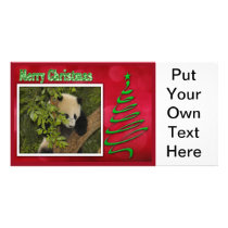 c-2011-panda-0060 personalized photo card