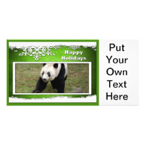 c-2011-panda-0076 custom photo card