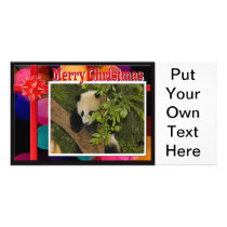 c-2011-panda-0078 custom photo card