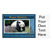c-2011-panda-0085 customized photo card