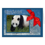 c-2011-panda-0087 cards