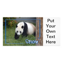 c-2011-panda-0090 personalized photo card