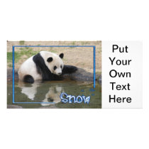 c-2011-panda-0091 personalized photo card