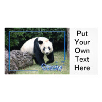 c-2011-panda-0092 picture card