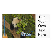 c-2011-panda-0093 personalized photo card