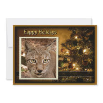 c-2011-siberian-lynx-019 custom announcement