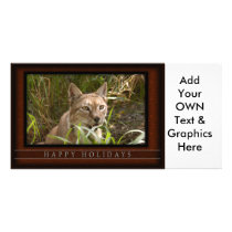c-2011-siberian-lynx-028 photo cards