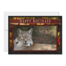 c-2011-siberian-lynx-033 announcement