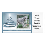 c-2011-snow-leopard-009 picture card