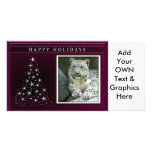 c-2011-snow-leopard-023 photo card