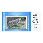 c-2011-snow-leopard-038 photo card