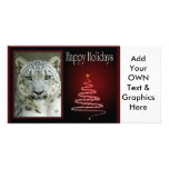 c-2011-snow-leopard-041 picture card