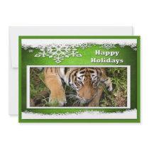 c-2011-tiger-040 invites