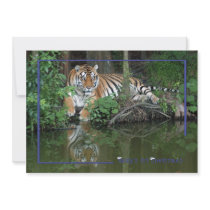 c-2011-tiger-092 custom invitation