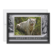 c-2011-white-tiger-043 personalized announcement