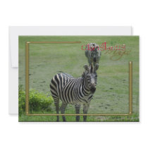 c-2011-zebra-007 personalized invitations