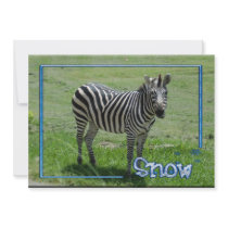 c-2011-zebra-008 invites