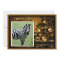 c-2011-zebra-026 announcement