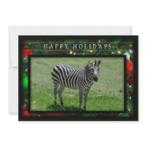 c-2011-zebra-036 announcement