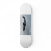C-5 Galaxy skateboards by 91preludesi C-5 Galaxy skateboards