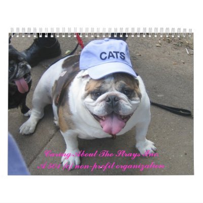 C.A.T.S. Calendar 2009 by kiki22