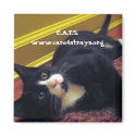 C.A.T.S. Magnet: