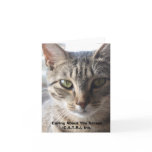 C.A.T.S tabby note cards