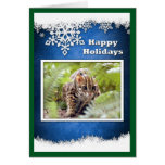c-bengal-cat-12-b greeting card