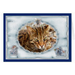 c-bengal-cat-9 card