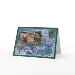c-bobcat-112 cards