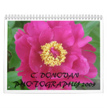 C. DONOVAN PHOTOGRAPHY  2009 CALENDAR calendars