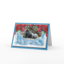 c-gorilla-176-c cards
