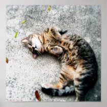 C is for Cat Print