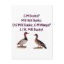 C M Ducks? Funny Southern Accent Post Card
