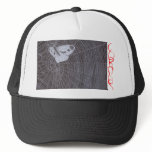 C.O. R. P. U.S moth in web hats