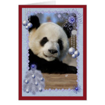 c-panda-15-b cards