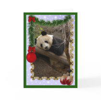 c-panda-21-c cards