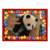 c-panda-23-tt cards