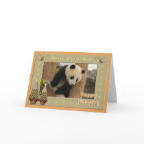 c-panda-285-t cards