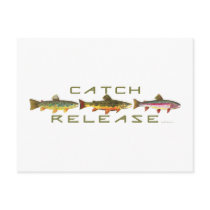 C & R - Trout Postcard