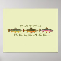 . C & R - Trout Poster