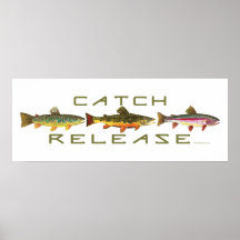 . C & R - Trout Posters