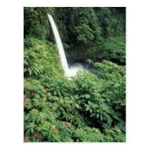 CA, Costa Rica. La Paz waterfall and impatients Postcard